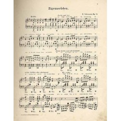 Zigeunerleben. Op. 29