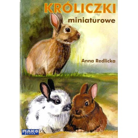 Króliczki miniaturowe