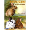 Króliczki miniaturowe