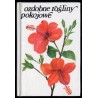 Ozdobne rośliny pokojowe