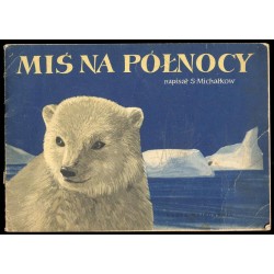 Miś na północy