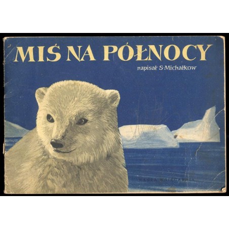 Miś na północy