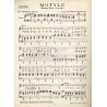 Motyle. Shimmy-Blues (Serenada)
