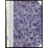 Jazdectwo. Miesięcznik. R.29 (1981). Nr 1-12 (komplet)