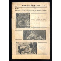 Orlim Szlakiem. Seria 1. R.2 (1945). Nr 10