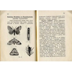 Motyle jako szkodniki leśne. Cz.1: Macrolepidoptera - Motyle większe