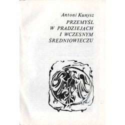Przemyśl w pradziejach i wczesnym średniowieczu