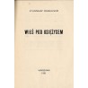 Wieś pod księżycem