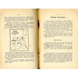 Brunatne bydło polskie