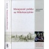 Mniejszość polska na Wileńszczyźnie. Studium socjologiczne