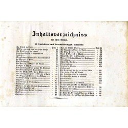 Meyer's Universum oder Abbildung und Beschreibung des Sehenswerthesten und Merkwürdigsten der Natur und Kunst auf der ganzen Erd