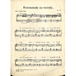 Rozszumiały się wierzby... / Rozszumiały się wierzby. Piosenka partyzancka