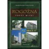 Rogoźna przez wieki
