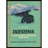 Zalesienia w karpackich terenach górskich