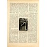 Tęcza. Ilustrowane pismo tygodniowe. R.2 (1928). Z. 20 (19 maja 1928) / Włodzimierz Bartoszewicz / Warszawska Szkoła Sztuk Piękn