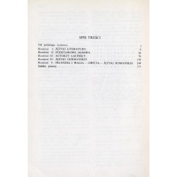 Wczesne średniowiecze. (Zarys historii literatury)