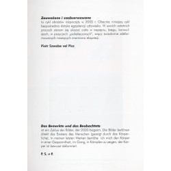 Piotr Szwabe vel Pisz. Malarstwo