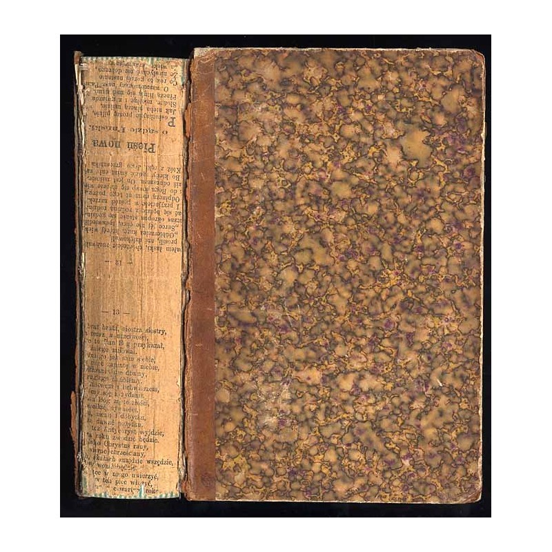 Jerusalem und das heilige Land. Pilgerbuch nach Palaestina, Syrien und Aegypten. B.2