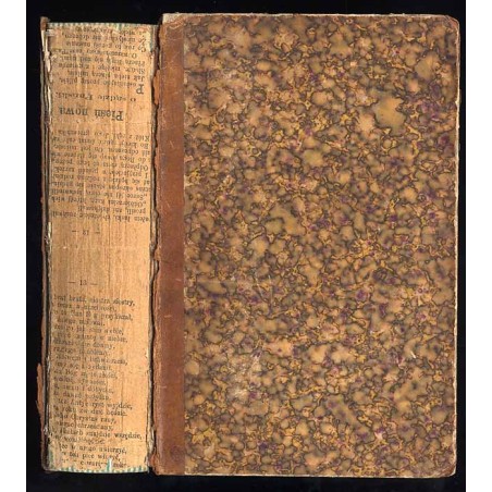 Jerusalem und das heilige Land. Pilgerbuch nach Palaestina, Syrien und Aegypten. B.2