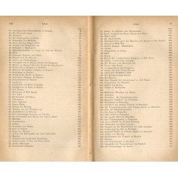 Jerusalem und das heilige Land. Pilgerbuch nach Palaestina, Syrien und Aegypten. B.2