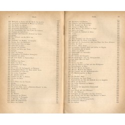 Jerusalem und das heilige Land. Pilgerbuch nach Palaestina, Syrien und Aegypten. B.2