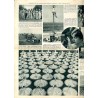 Ilustrowany Kurier Codzienny. Bezpłatny dodatek tygodniowy "Ilustrowanego Kuriera Codziennego" do nr 244. R.10 (1934). Nr 36 (51