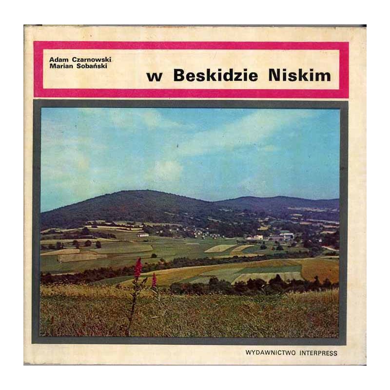 W Beskidzie Niskim
