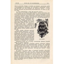 Moje Pisemko. R.28 (1930). Nr 36 (6 września 1930)