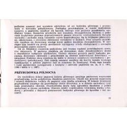 Papierniczy młyn w Dusznikach