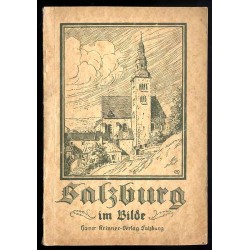Salzburg im Bilde