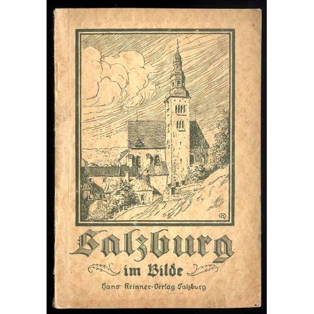 Salzburg im Bilde