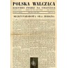 Polska Walcząca - Żołnierz polski na obczyźnie. Fighting Poland. Weekly for the Polish Forces. R.4 (1942). Nr 22 (30 maja 1942)