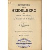 Wegweiser durch Heidelberg und seine Umgebung, das Neckartal und die Bergstrasse