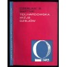 Teilhardowska wizja dziejów