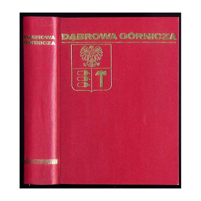 Dąbrowa Górnicza. Zarys rozwoju miasta