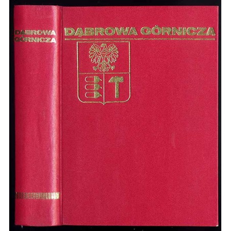 Dąbrowa Górnicza. Zarys rozwoju miasta