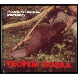 Tropem bobra