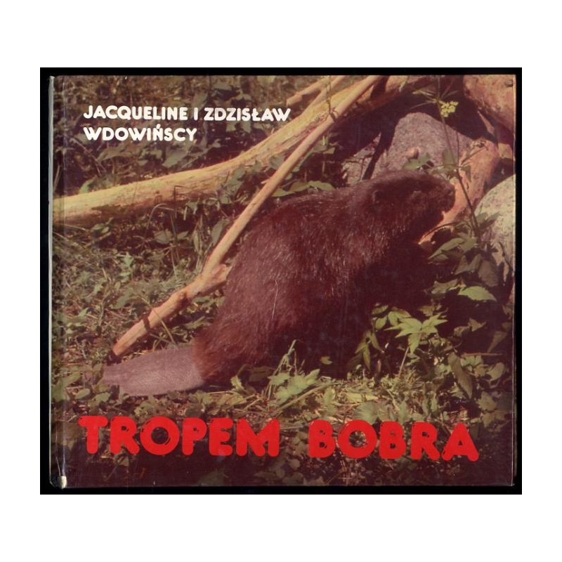 Tropem bobra