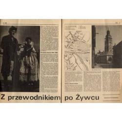 Poznaj Swój Kraj. Miesięcznik krajoznawczo-turystyczny Ministerstwa Oświaty i Wychowania. R. 24 (1981). Nr 6 (247) / Żywiecczyzn