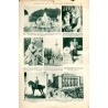 Ilustrowany Kurier Codzienny. Bezpłatny dodatek tygodniowy "Ilustrowanego Kuriera Codziennego" do nr 175. R.2 (1926). Nr 26 (75)