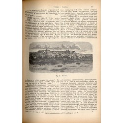 Wielka Encyklopedya Powszechna Ilustrowana. [Seria 1]. T.13-14: Cieszyn - Damboza