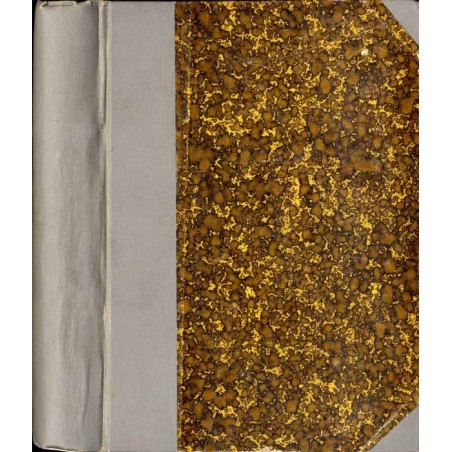 Neues Panorama. Reisebilder und Skizzen aus der Natur und dem Menschenleben. Zur Belehrung und Unterhaltung für die reifere Juge