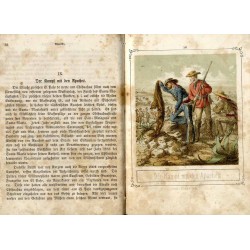 Neues Panorama. Reisebilder und Skizzen aus der Natur und dem Menschenleben. Zur Belehrung und Unterhaltung für die reifere Juge