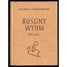 Rośliny wydm