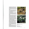 Der japanische Garten-Wege zu moderner Gestaltung