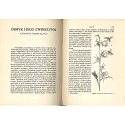 Z życia owadów. Pisma wybrane z "Souvenirs Entomologiques"