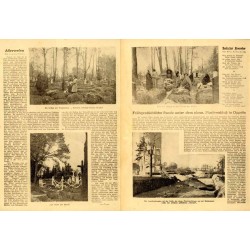 Oberschlesien im Bild. Wöchentliche Unterhaltungsbeilage des oberschlesischen Wanderers. (1930). Nr 44 (31.10.1930) / Gliwice /