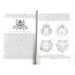 Klucze do oznaczania owadów Polski. Cz.28: Muchówki - Diptera. Z.77: Wpleszczowate - Hippoboscida