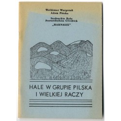 Hale w Grupie Pilska i Wielkiej Raczy