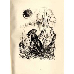 Der Hasenroman
